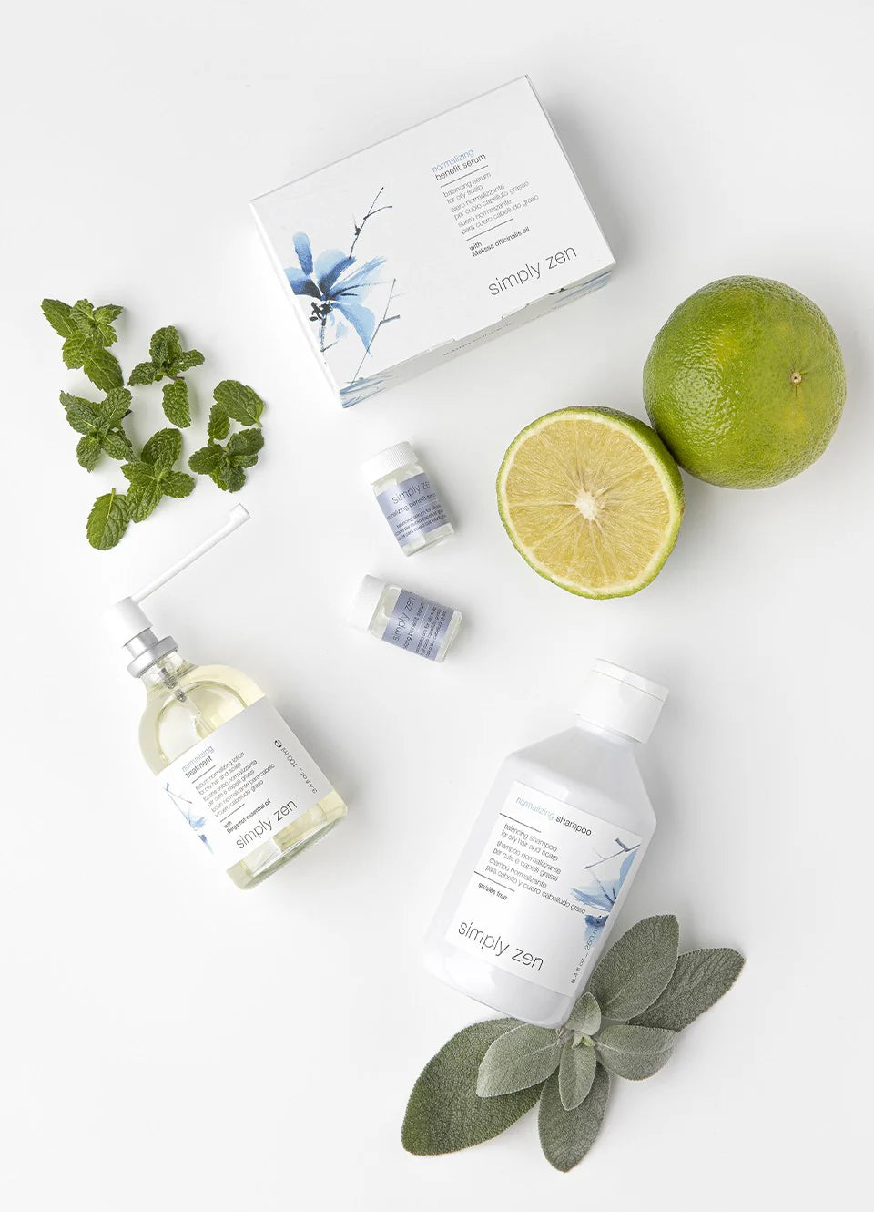 NORMALIZING SHAMPOO šampūnas riebiems plaukams